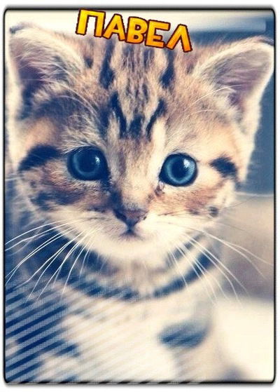 Павел Котов