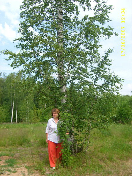 Люда Лукьянова