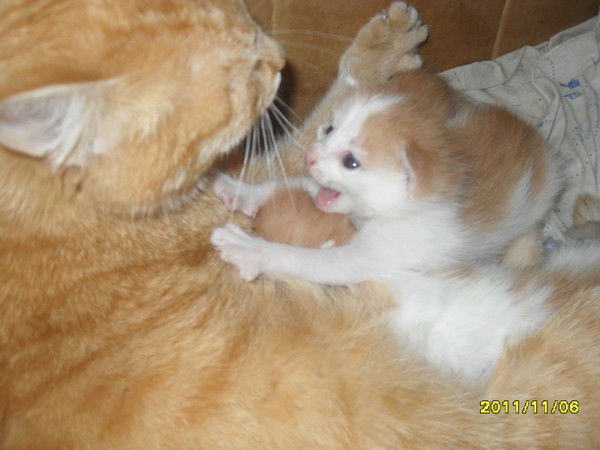 Любовь Андреева