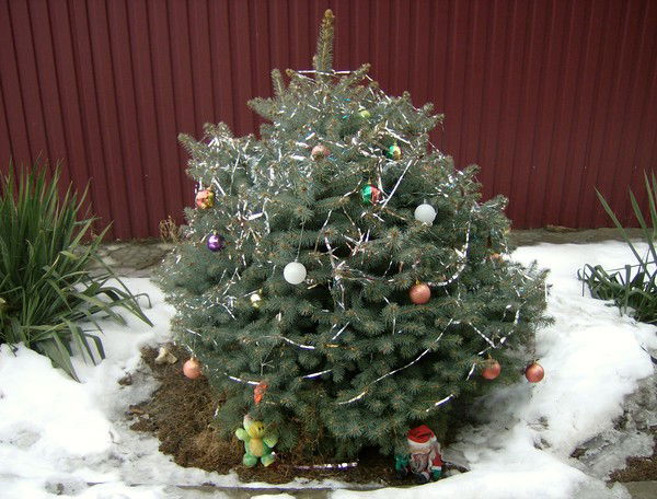 Сергей Мирошкин