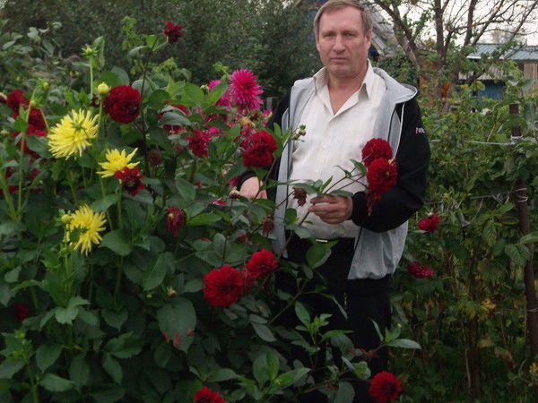 Михаил Грачев