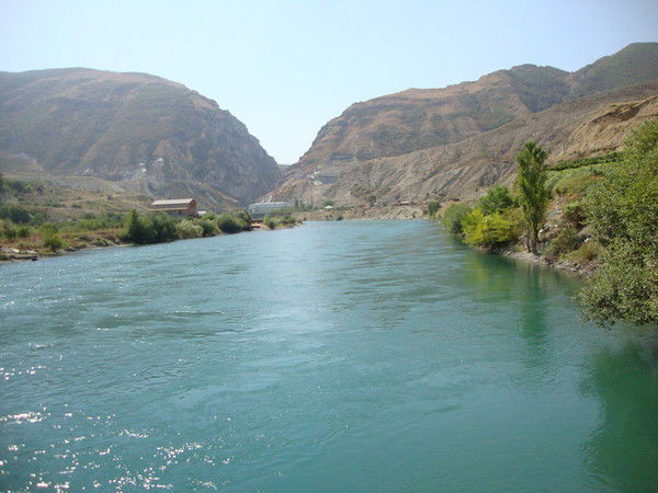 Кавсарат Дадаева