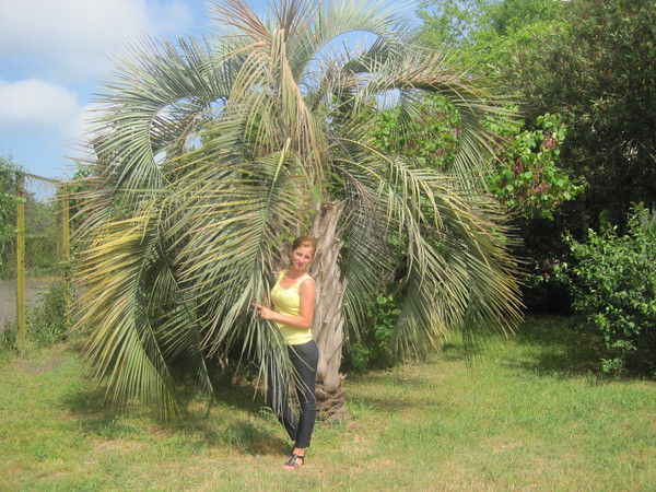 Марина Корнилович