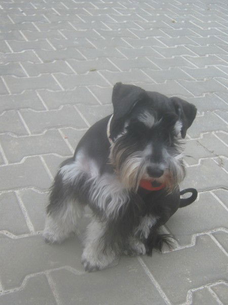 Алина !!!!!!!!!