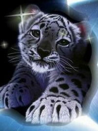 Ирина Аль-Сайед