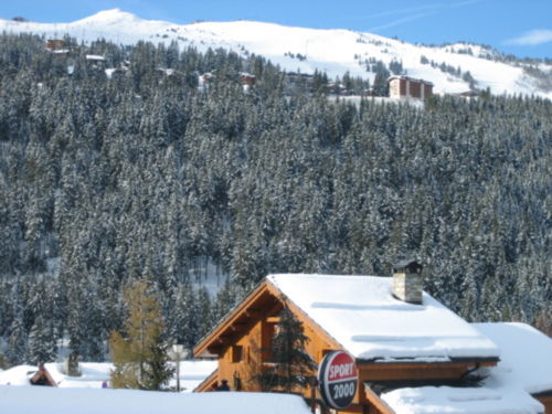 Дубинин Владимир