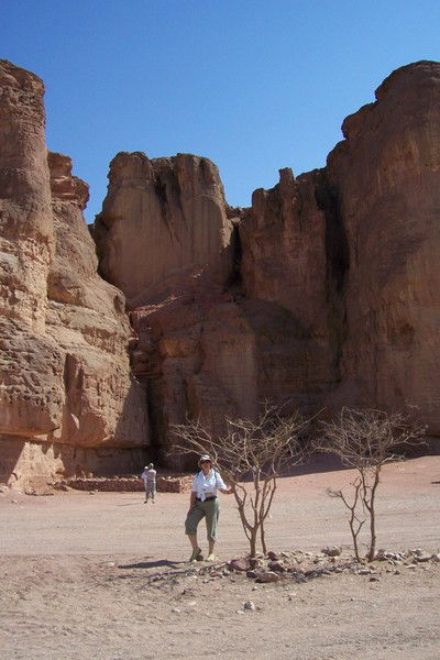 Вера Введенская