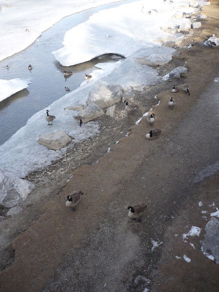 Айгуль Рудченко