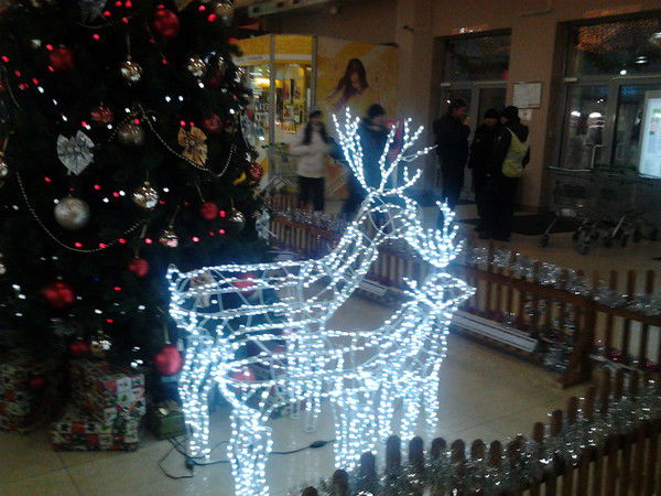 Марина Василенко