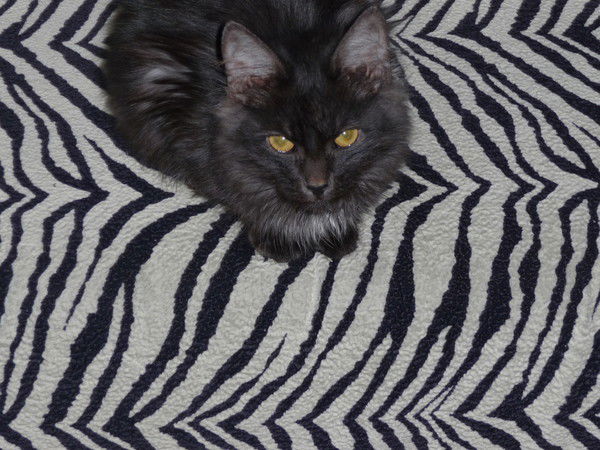 Сергей Яицкий