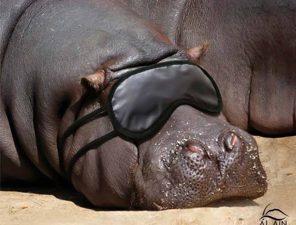 Андрей Мариненко