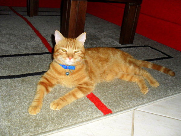 Вадим Ковалёв