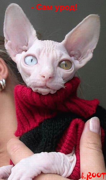 Неизвестно Неизвестно