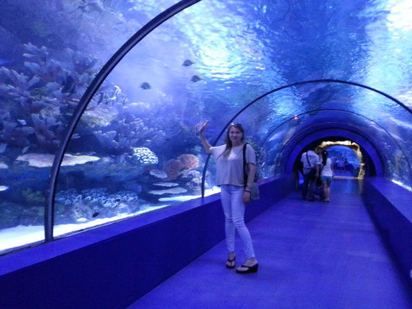 Елена Черткова