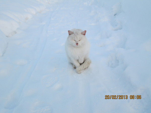 Ольга Жиленкова