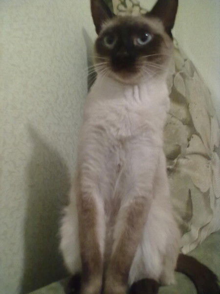 Станислав Князев