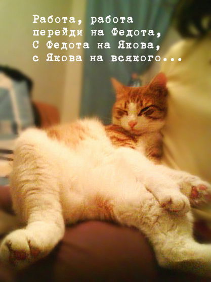 Кирилл Гордусенко