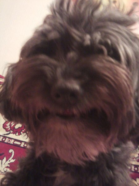 Андрей Петров