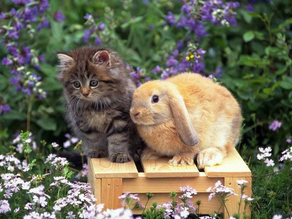 Мэриэм Узэрли