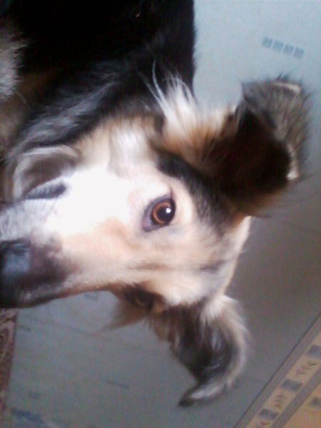 Михаил Рябов