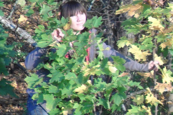 Маришка Тронцева