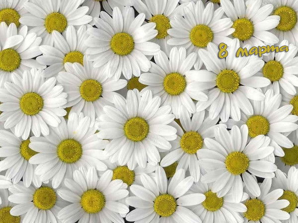 Евгения Крутикова