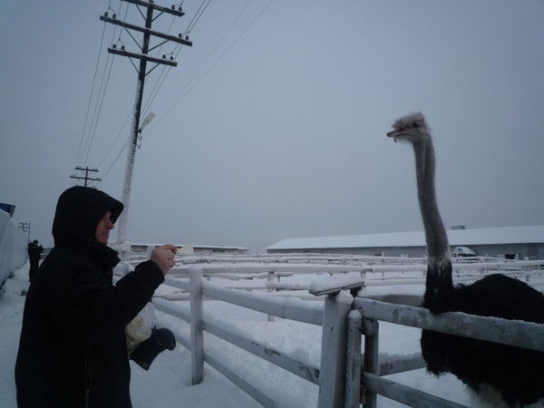 Андрей Кудреватых