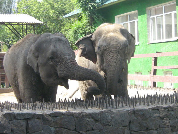 Владимир Пономаренко