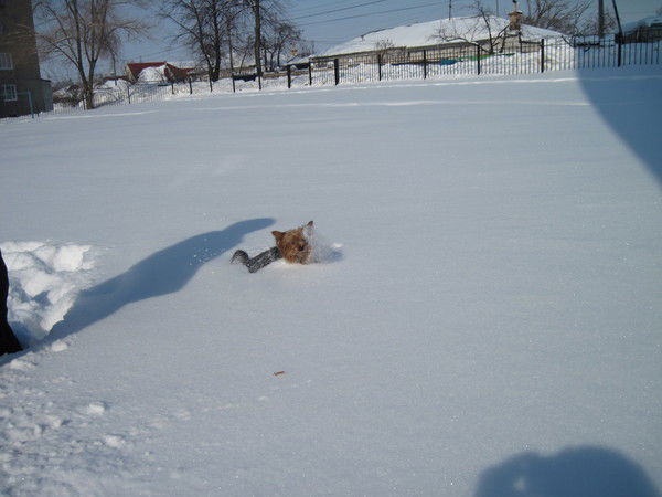 Надежда Десятник