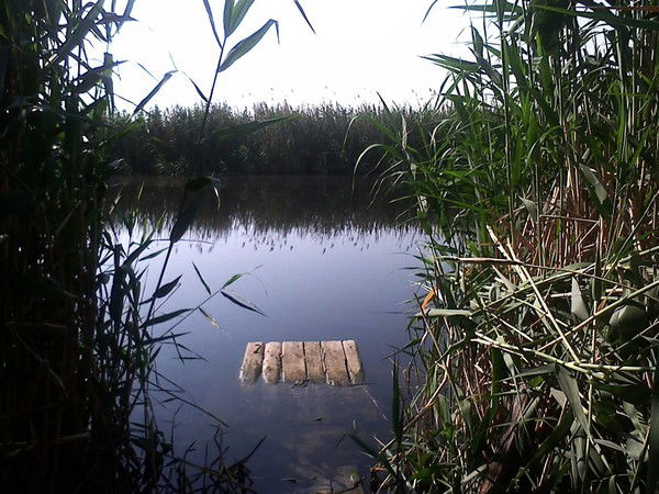 Сергей Волохин