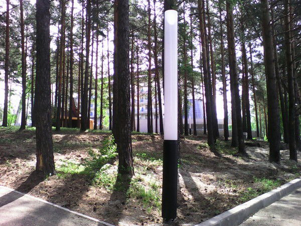 Светлана Шведова