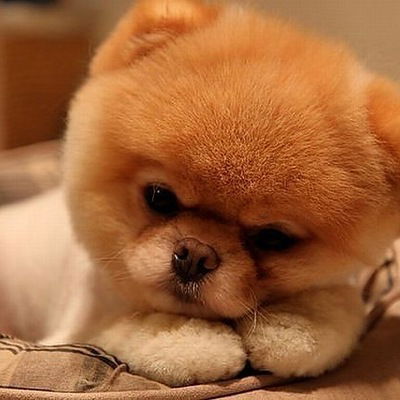 Кристина Софронова