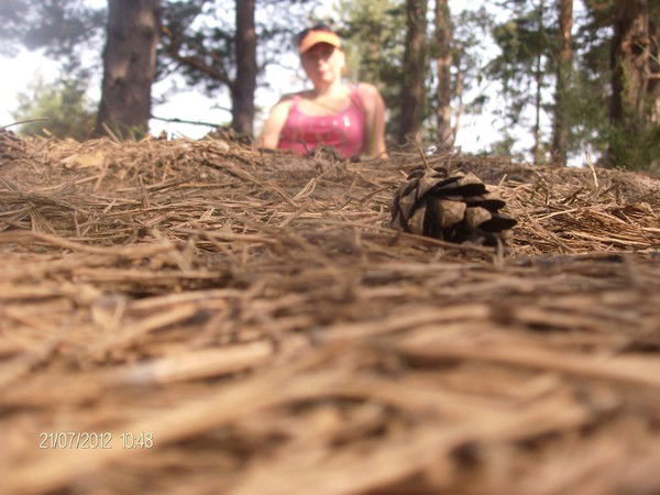 [Елена Владимирова