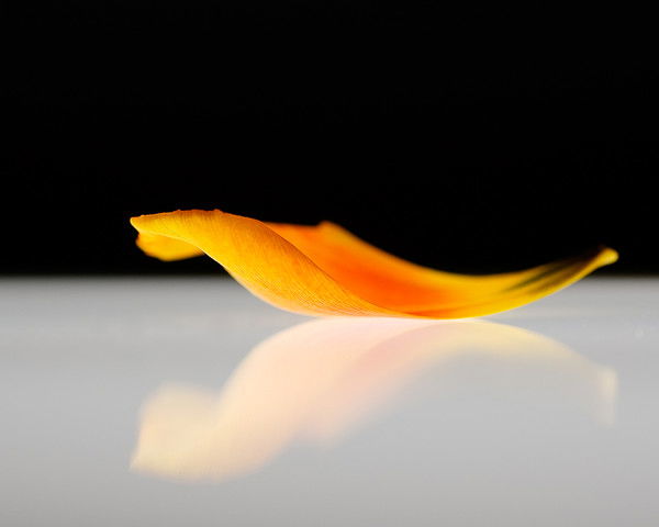 Катя Воронцова