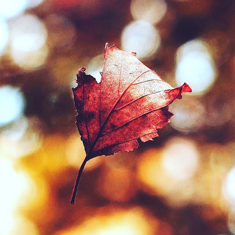 Оля Спицина