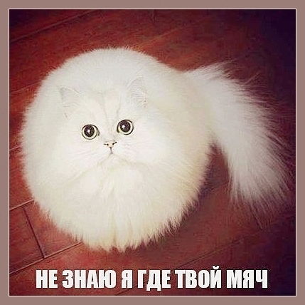 Я Не Знаю Себя...