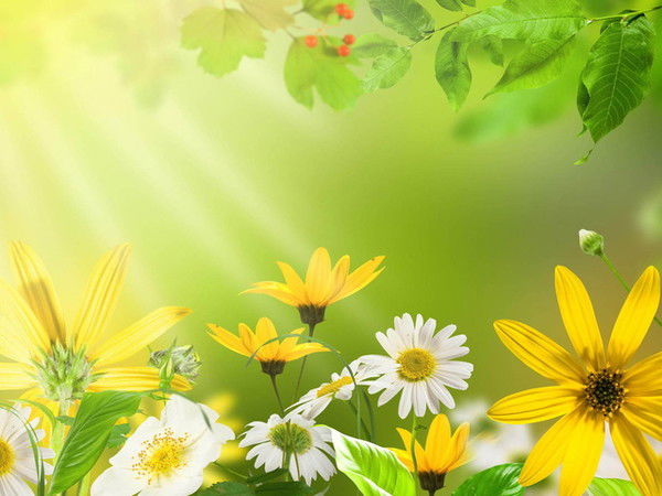 Гуля Кадырова