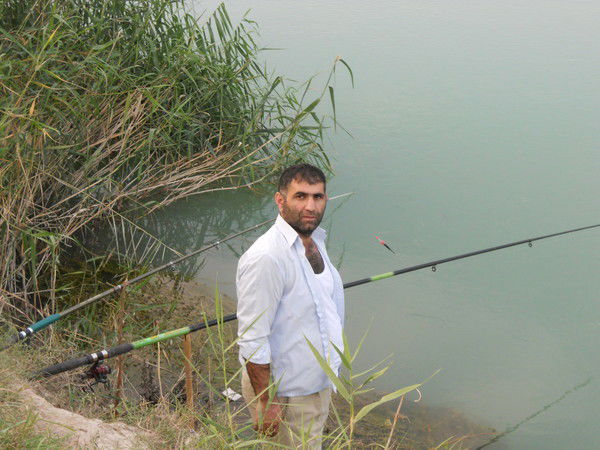 Тарлан Гулиев