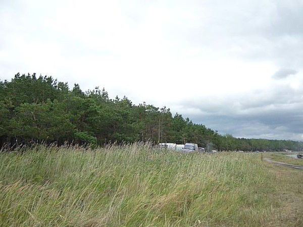 Светлана Кондрашова