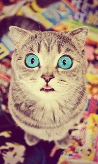 Оксана Погас