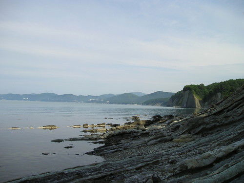 Николай Васькин