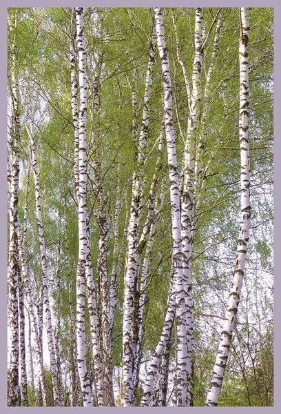 Галина Гончарова