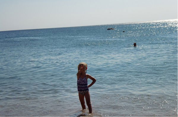 Игорь Вабищевич