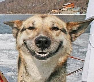 Евгений Нескажу