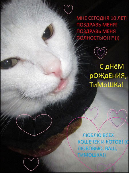 *истеричка О_О*