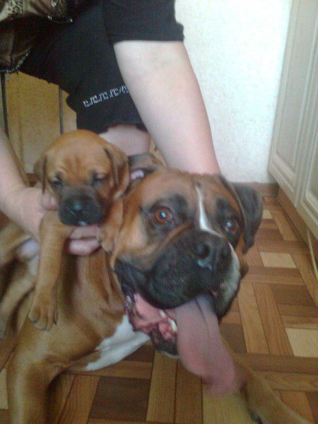 Владик Наумов