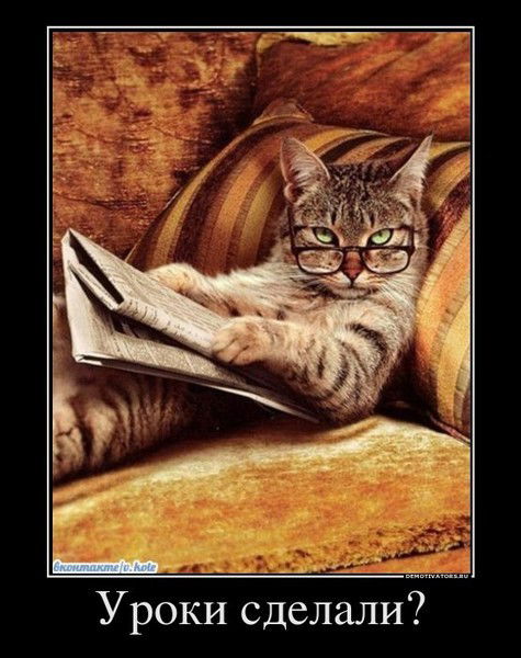 Ольга Березина