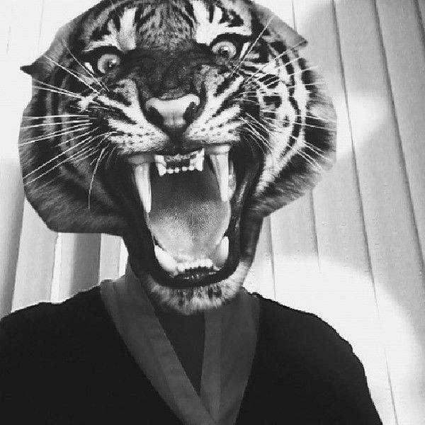 Дарья Андреева