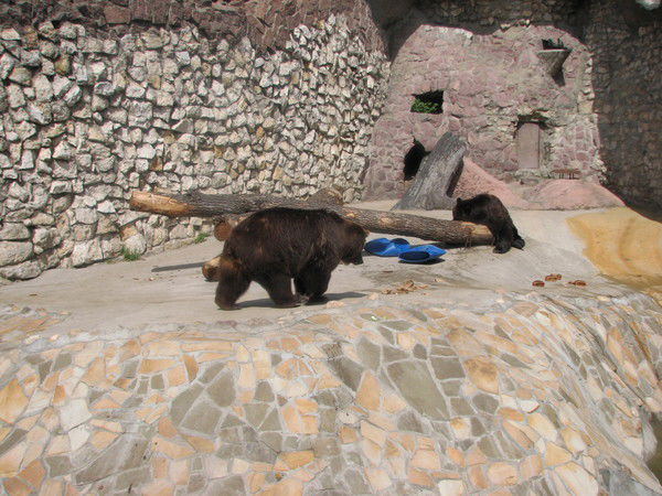 Влад Афонасьев