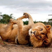 Наташа Гудень